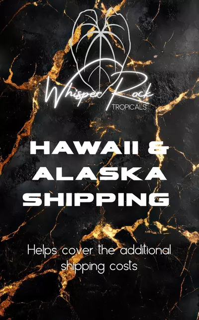 plant/Hawaii/Alaska Shipping-0-thumbnail