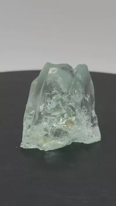 plant/Aquamarine - Floater - Medina, Brazil-0-thumbnail