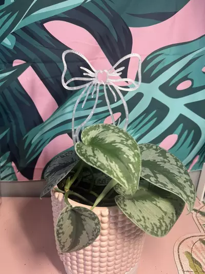 plant/🎀Bow Trellis | 3d printed | Choose your color-0-thumbnail