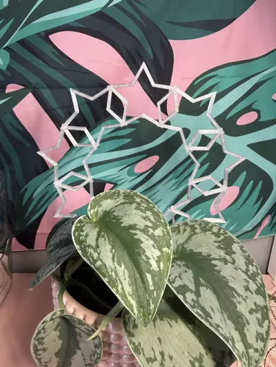 plant/🌟Star Chain Trellis | 3d printed | Choose your color-0-thumbnail