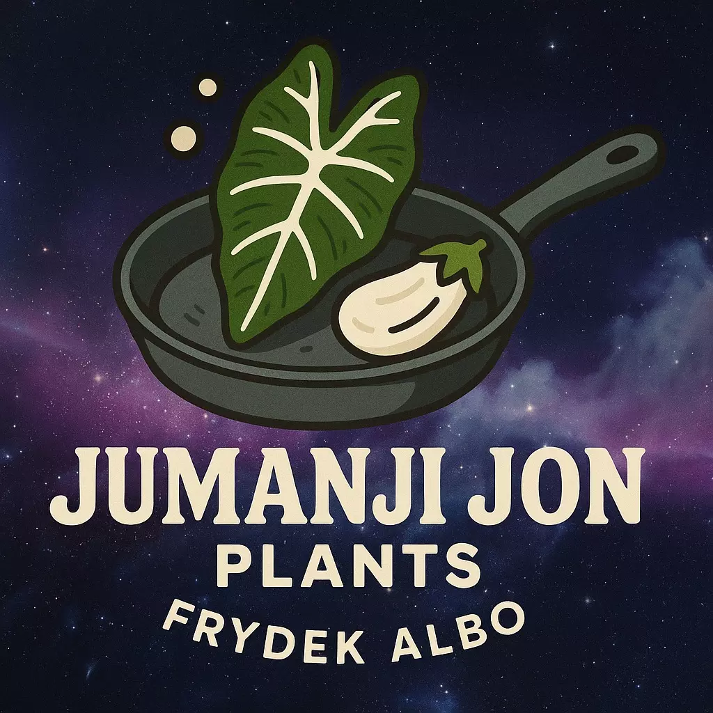 plant/V. Alocasia Frydek TC-0