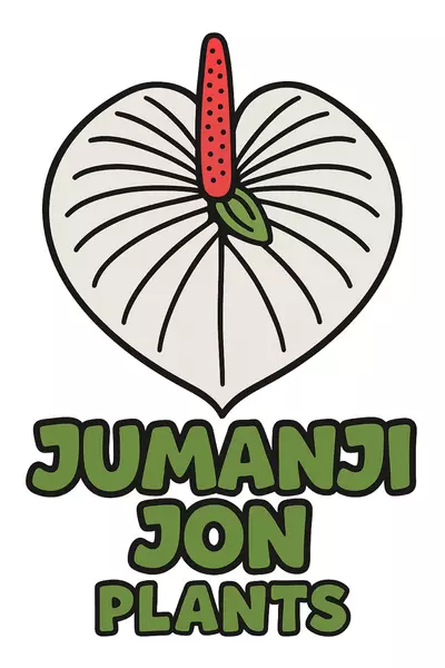 plant/Mystery Hybrid Anthurium Starter Plant in 3” Pot-0-thumbnail