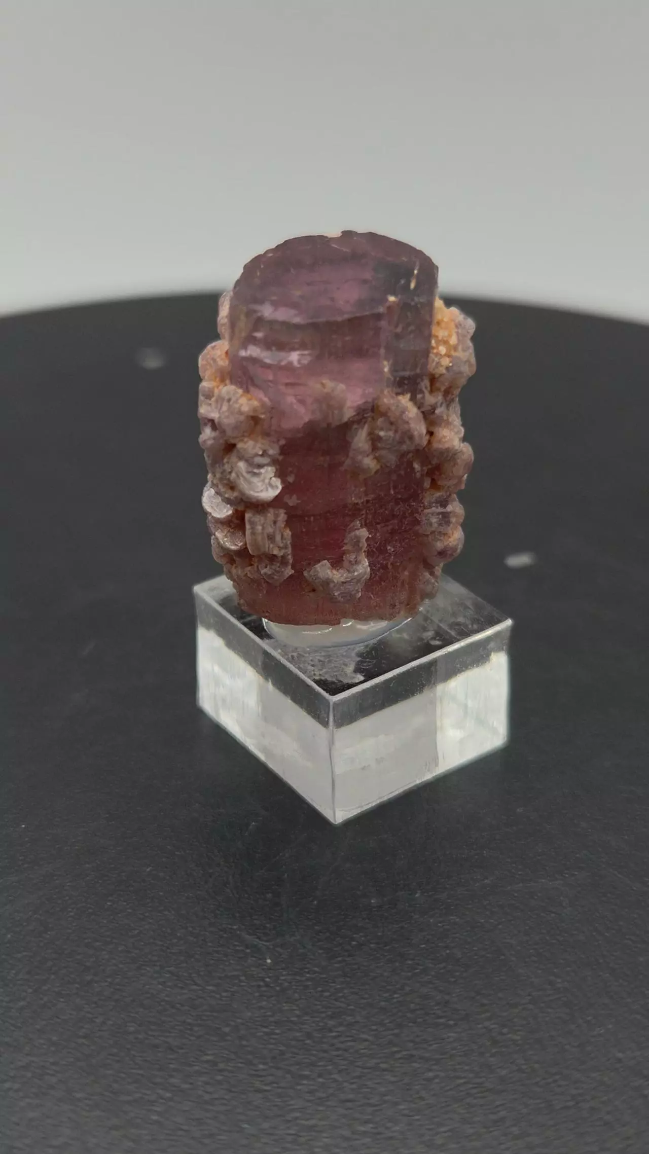 plant/Tourmaline with Lepidolite - Aricanga - Brazil-3