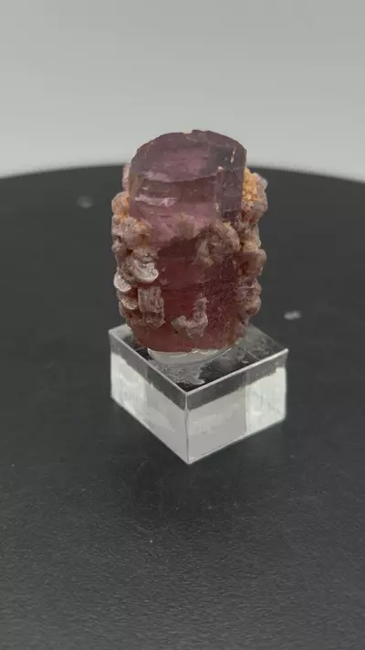 plant/Tourmaline with Lepidolite - Aricanga - Brazil-3-thumbnail
