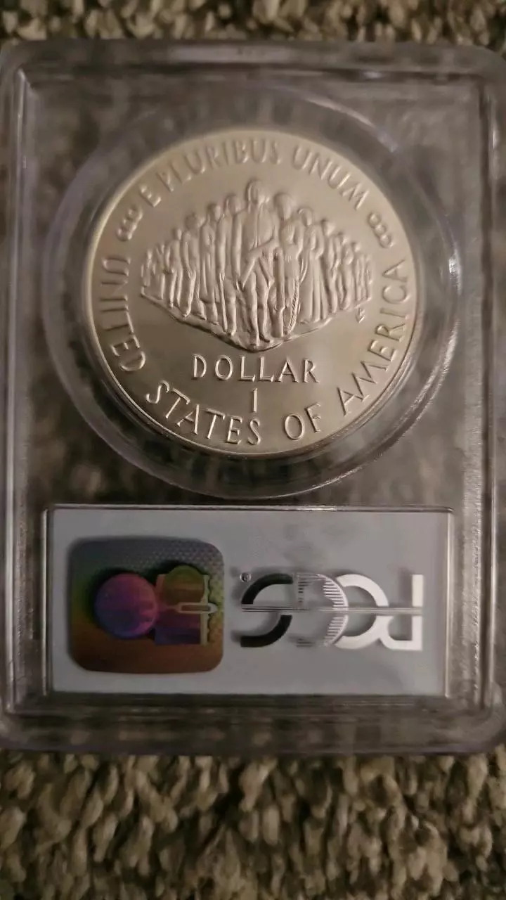 plant/1987-P MS 69 Constitution "We the People" $1-1