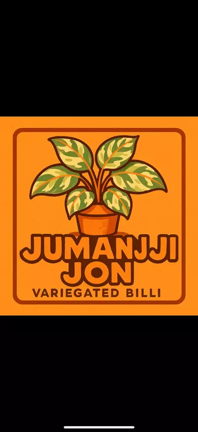 plant/V. Philodendron Billitiae TC-0-thumbnail