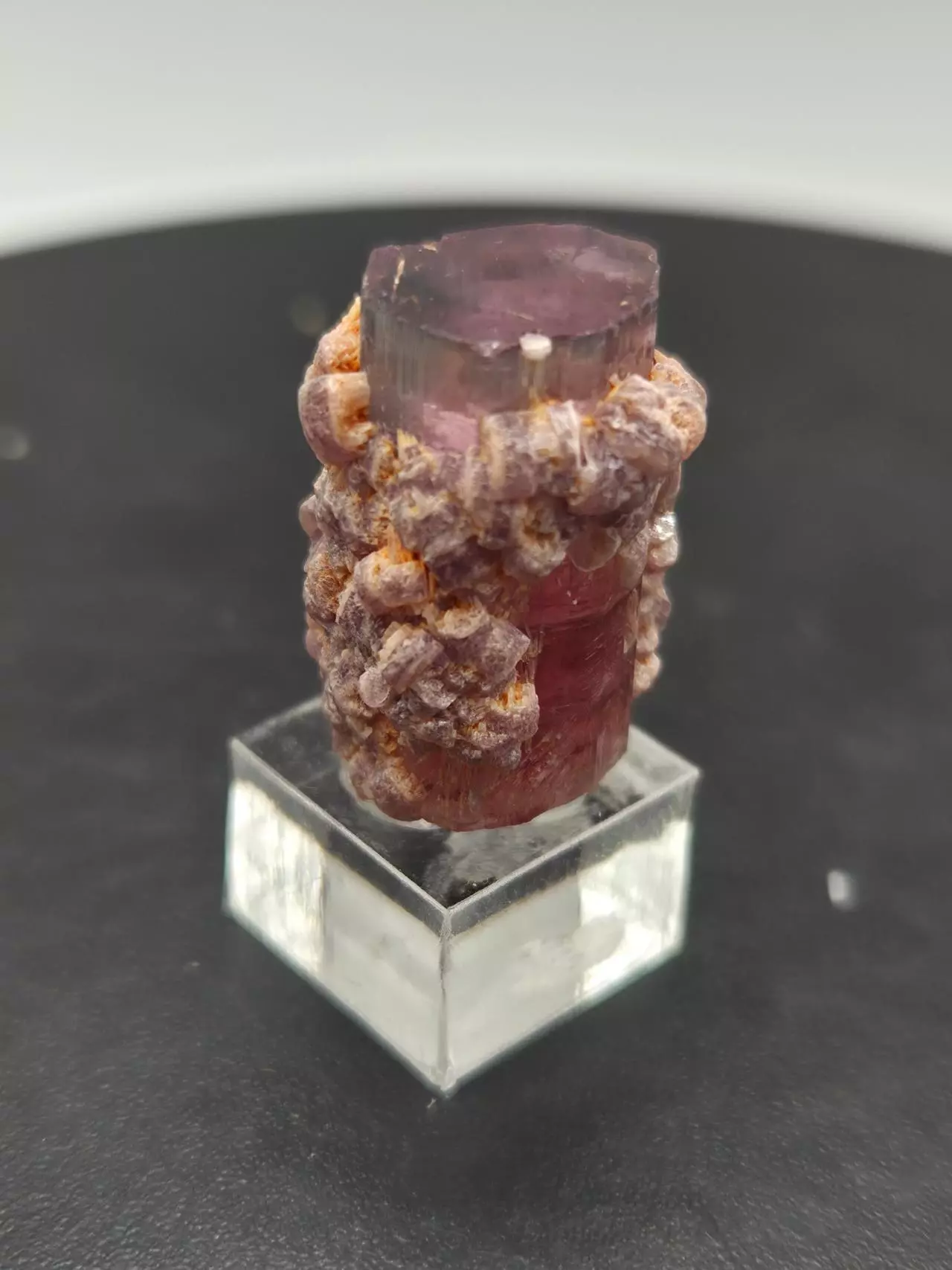 plant/Tourmaline with Lepidolite - Aricanga - Brazil-1