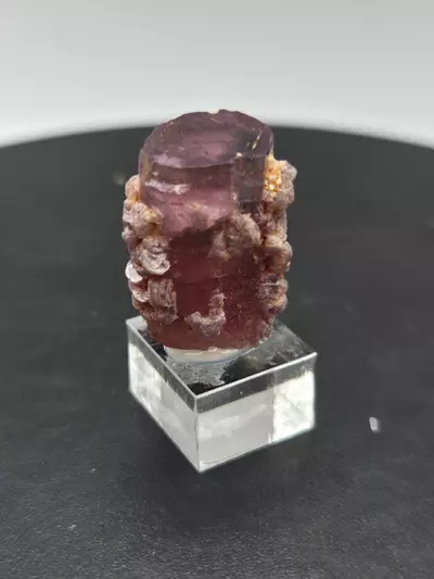plant/Tourmaline with Lepidolite - Aricanga - Brazil-2-thumbnail