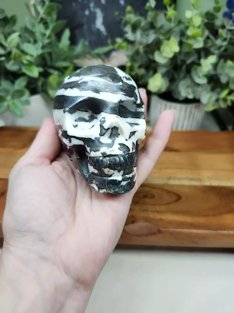 plant/Zebra Jasper skull-0