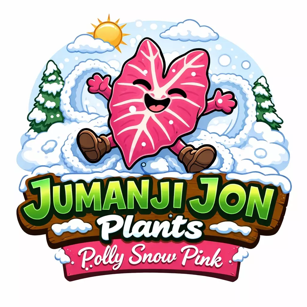 plant/Alocasia Polly Snow Pink TC-0