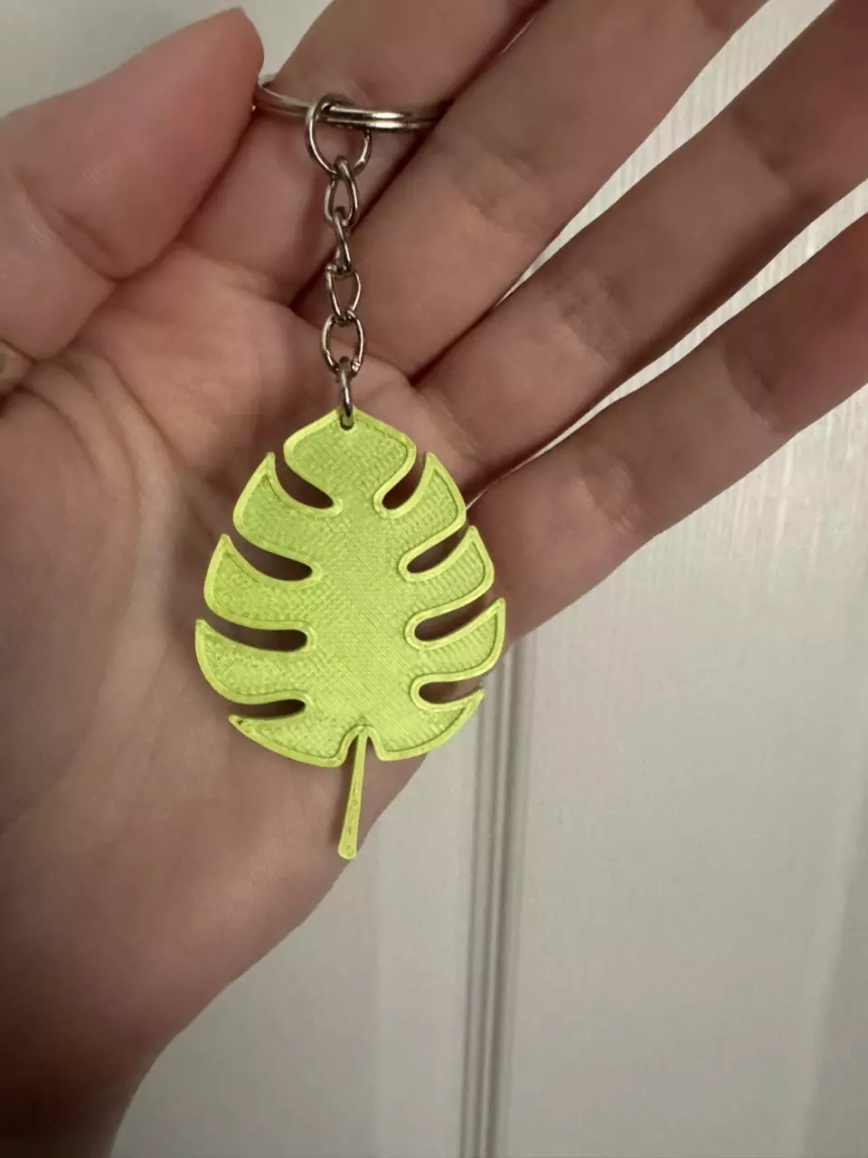 plant/Two tone green style 2-0