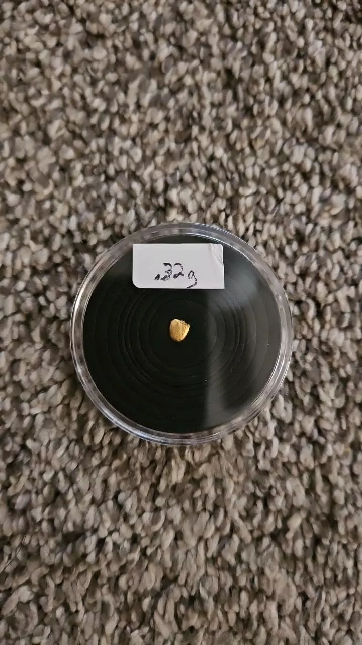 plant/.32 gram Gold Nugget-0