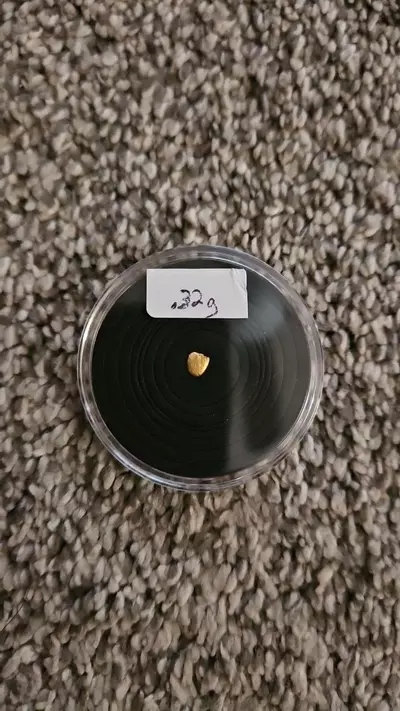 plant/.32 gram Gold Nugget-0-thumbnail