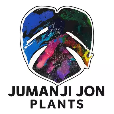 plant/24 Color Monstera Leaf Sticker-0-thumbnail