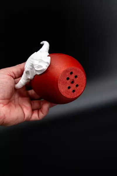 plant/CUSTOM Wild Frontier 2.5in Pot - BASIC/SPECIALTY-3-thumbnail