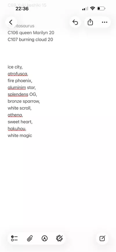 plant/Bundle for haworthia-0-thumbnail