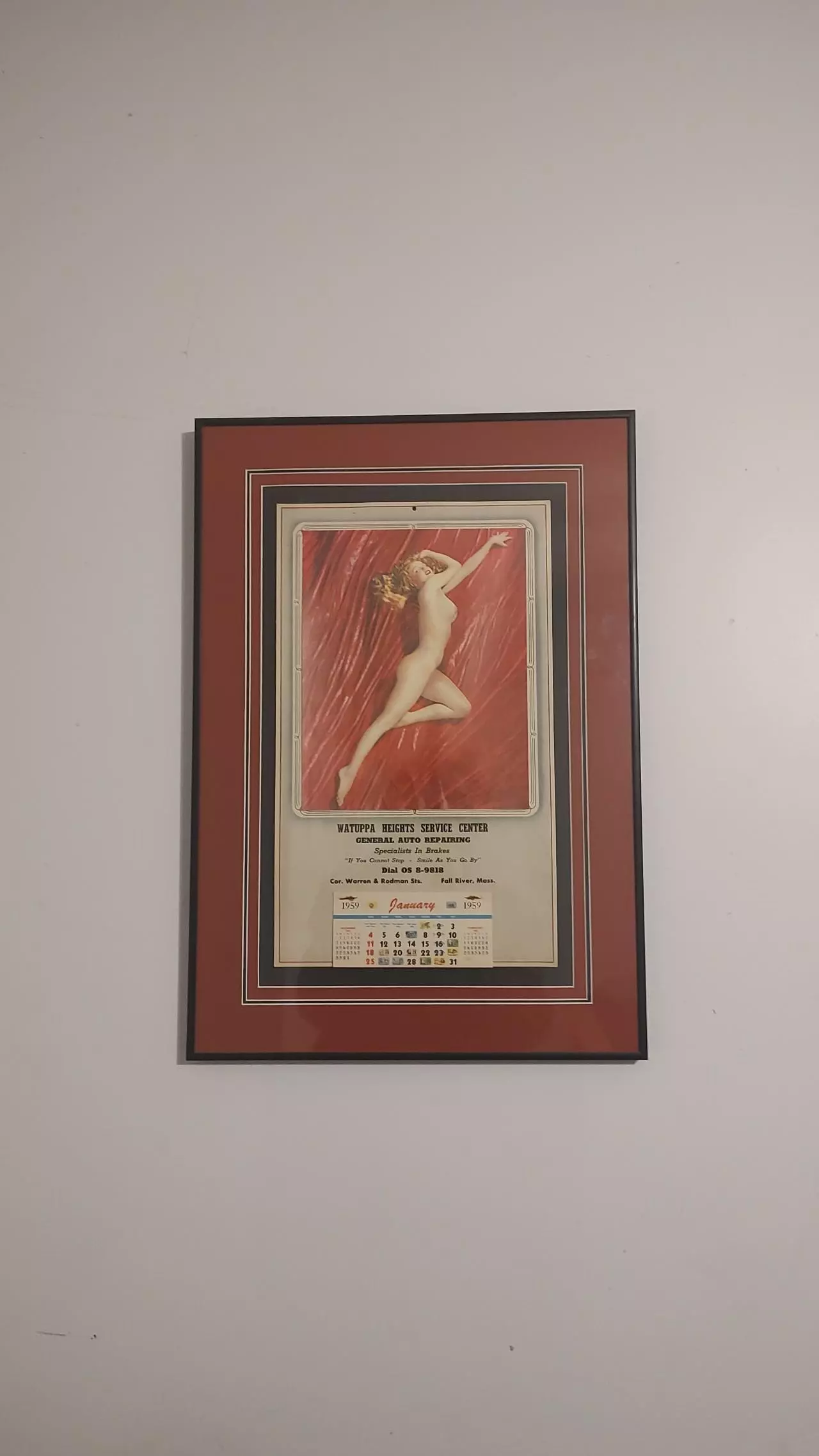 plant/Marilyn Monroe A New Wrinkle-0