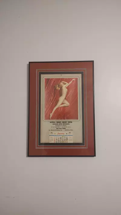 plant/Marilyn Monroe A New Wrinkle-0-thumbnail