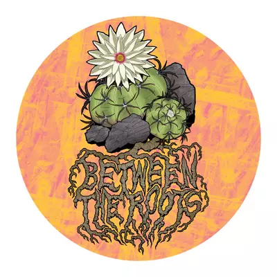 plant/Heat pack 72hrs-0-thumbnail