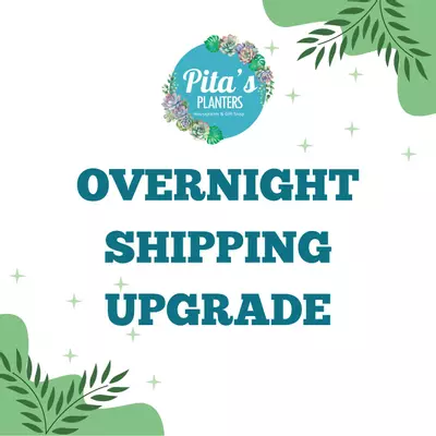 shipping_upgrade/Overnight shipping upgrade-0-thumbnail