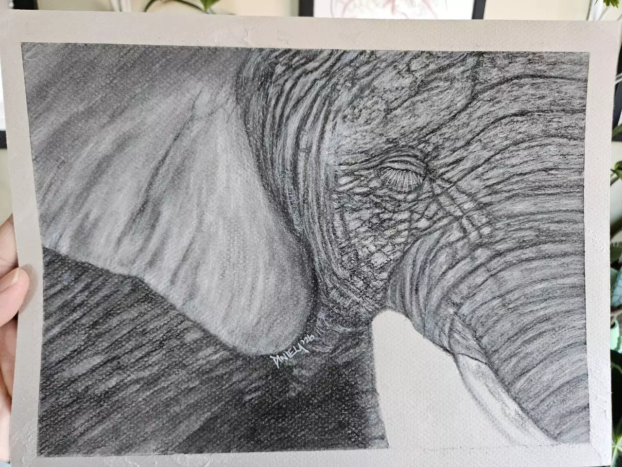 plant/Elephant in charcoal original-0