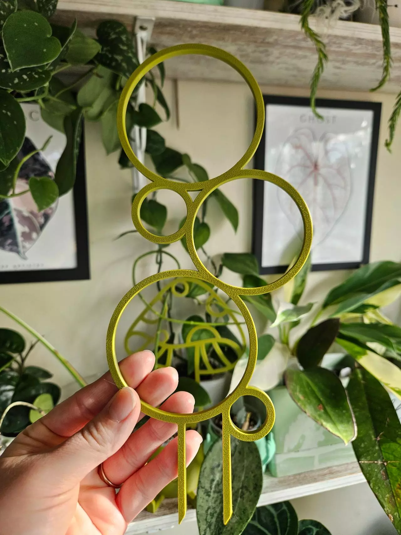 heat_pack/Olive green bubble trellis-0