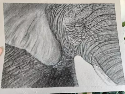 plant/Elephant in charcoal original-4-thumbnail