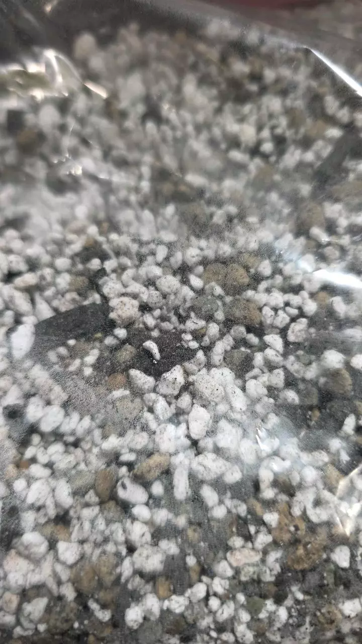 plant/Nik's Mix- 12oz Bag- Premium Quality Mixture-0