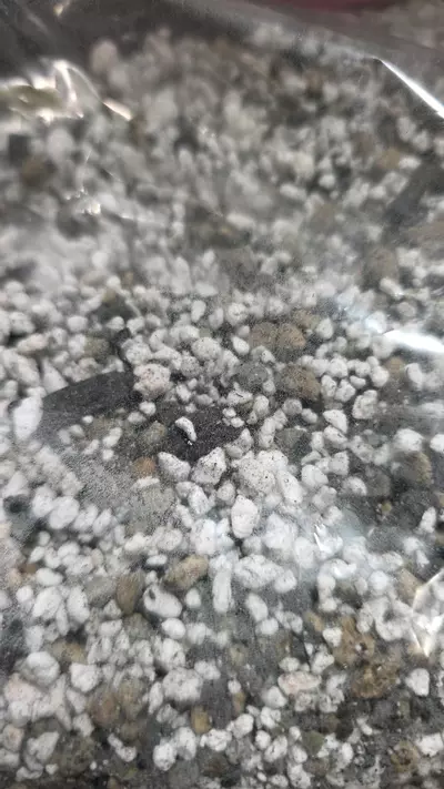 plant/Nik's Mix- 12oz Bag- Premium Quality Mixture-0-thumbnail