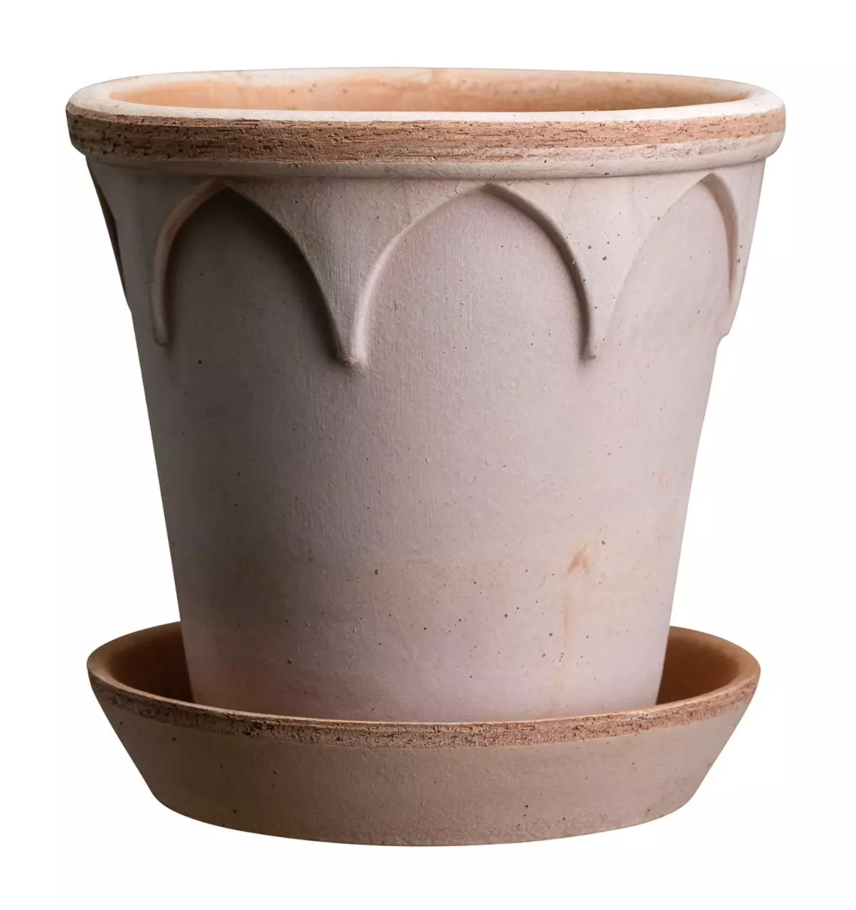 plant/SPECIAL ORDER: Bergs Elizabeth raw Rosa 9.8”-0