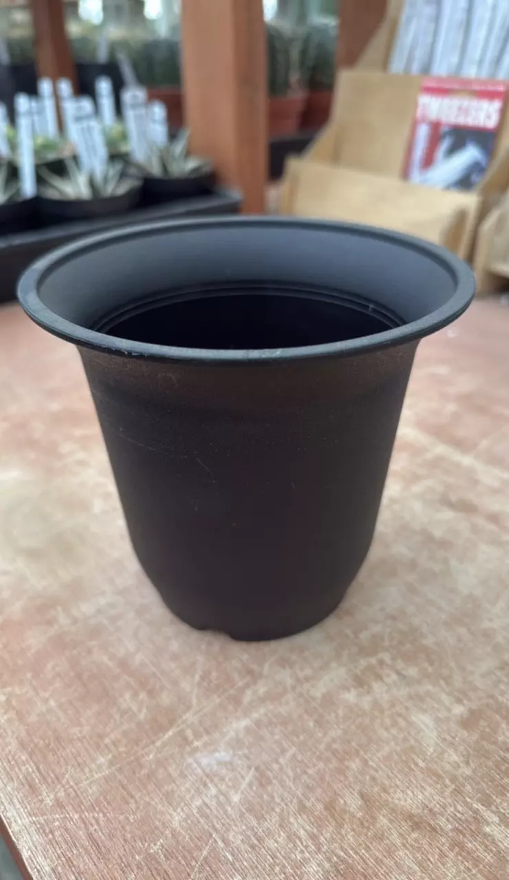 free_shipping/Renny Pot - XL-0