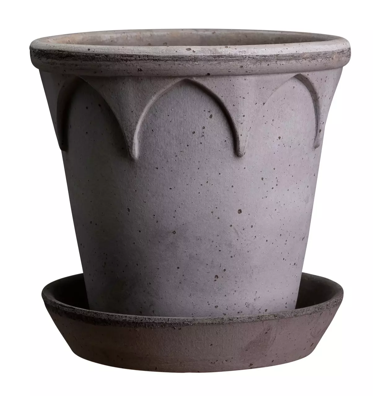 plant/SPECIAL ORDER: Bergs Elizabeth raw gray 9.8”-0