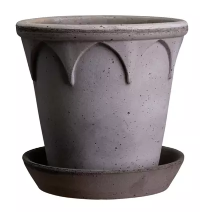 plant/SPECIAL ORDER: Bergs Elizabeth raw gray 9.8”-0-thumbnail