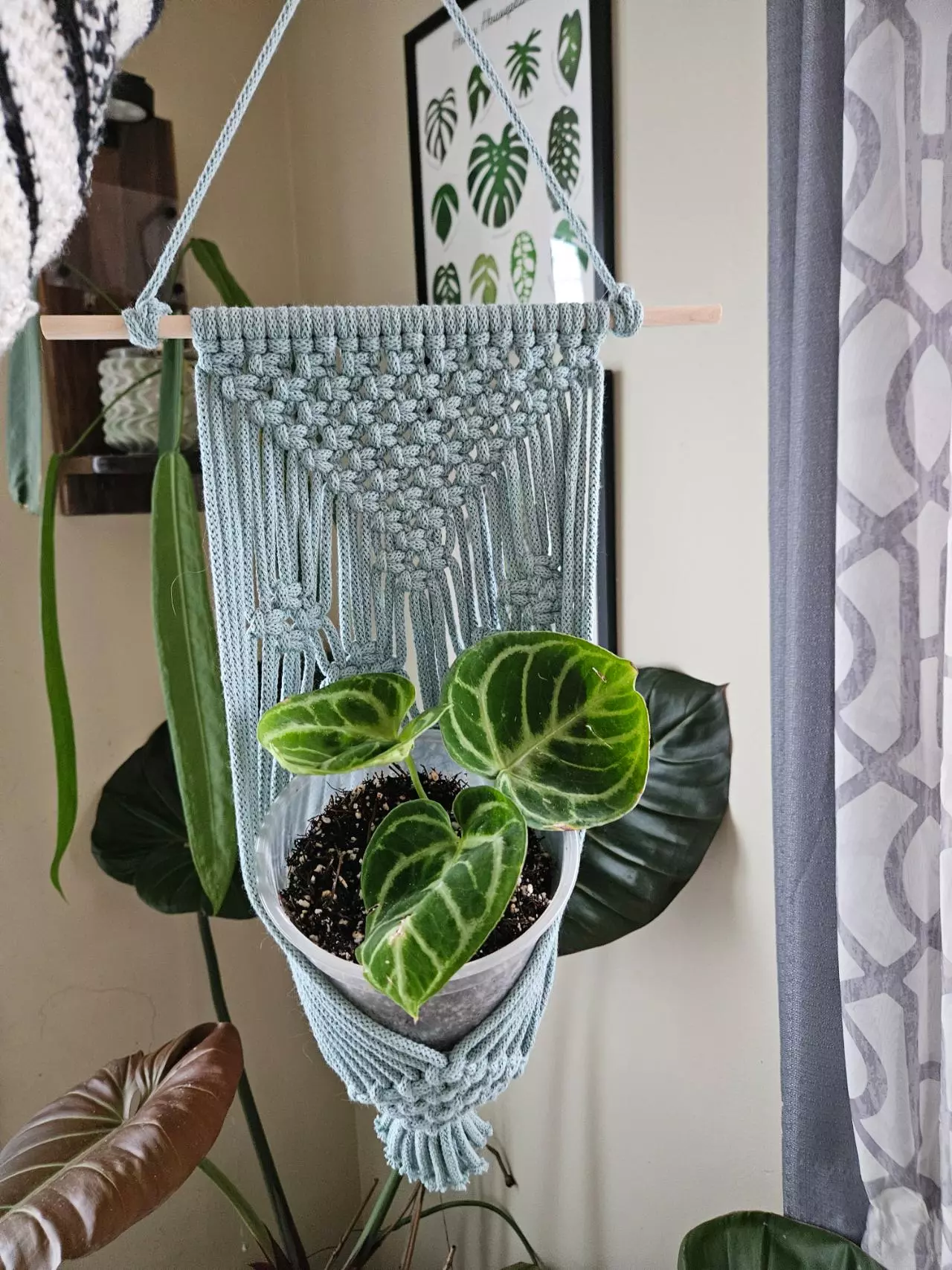 plant/Handmade 4-5" wall hanger-1