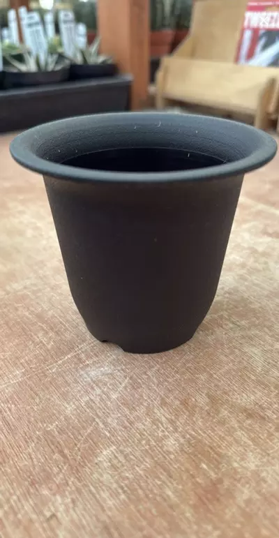 free_shipping/Renny Pot - Medium-0-thumbnail