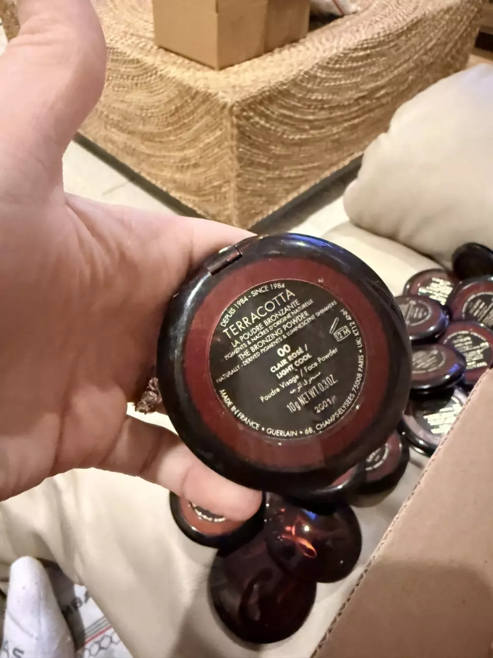 plant/Guerlain terracota the bronzing powder light cool-2