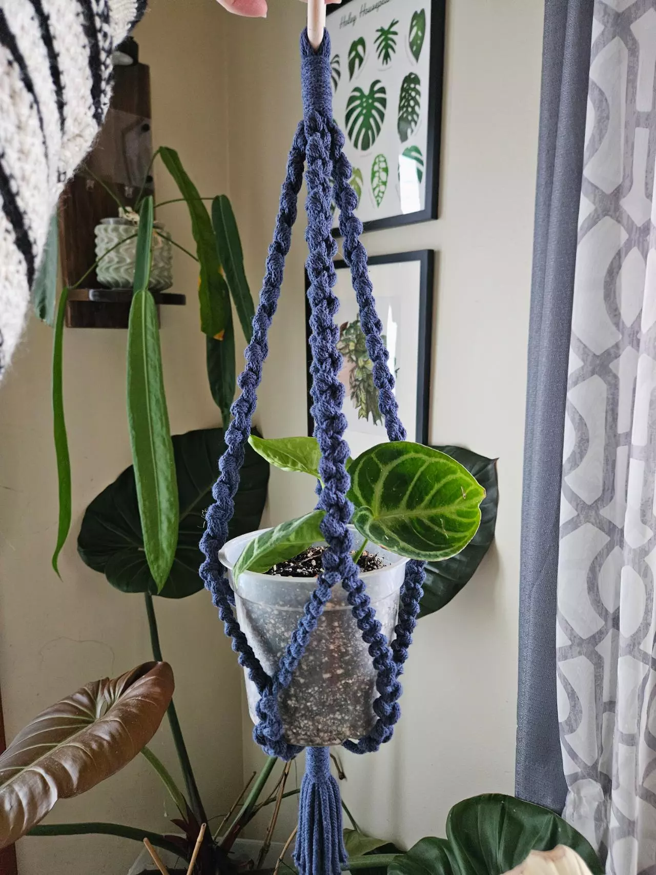 plant/Chunky 6" plant hanger-1
