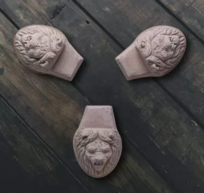 plant/SPECIAL ORDER: Bergs Lion Head Pot Feet Raw Rosa-0-thumbnail