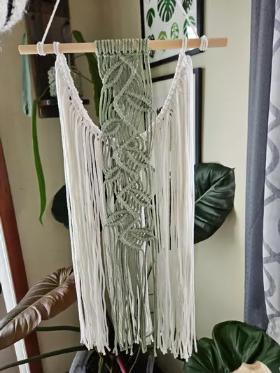 plant/Macrame vine hanger-0-thumbnail