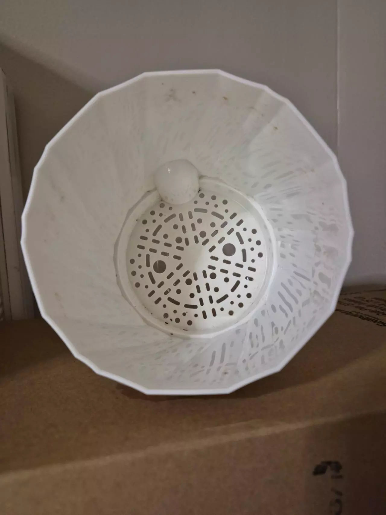 plant/Self-Watering 6" Pots, Set of Two-1