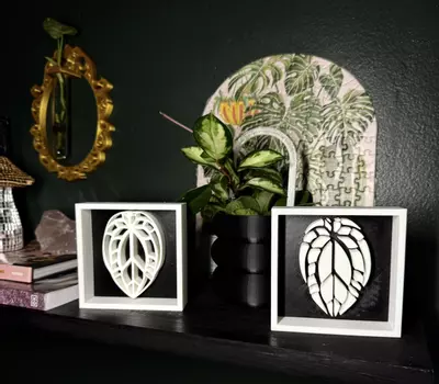 plant/Anthurium Shadowbox | 3d printed-0-thumbnail