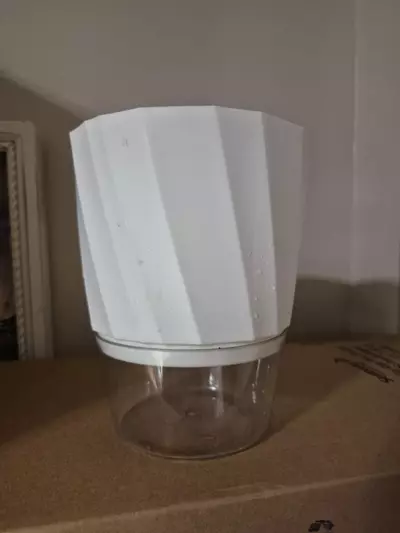 plant/Self-Watering 6" Pots, Set of Two-0-thumbnail