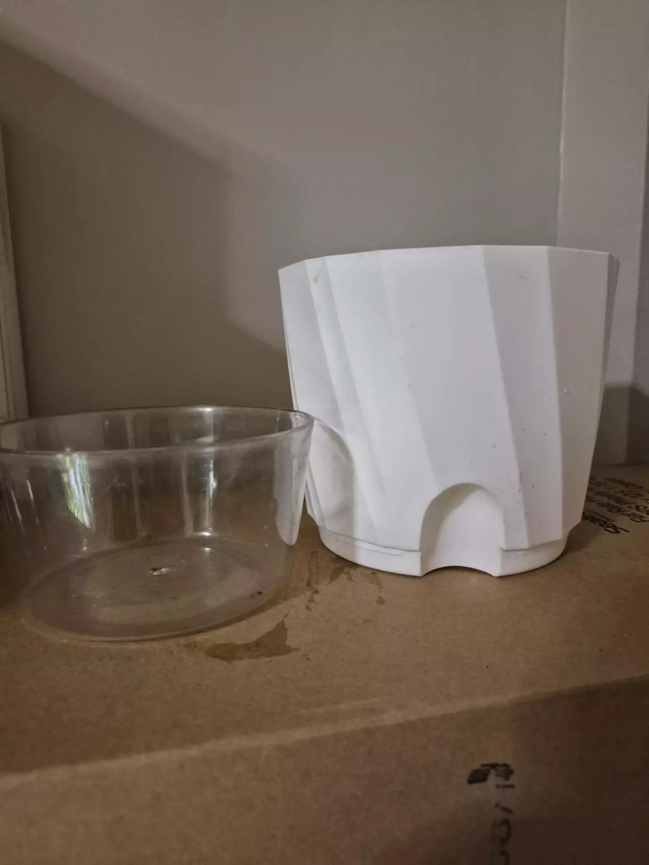 plant/Self-Watering 6" Pots, Set of Two-2