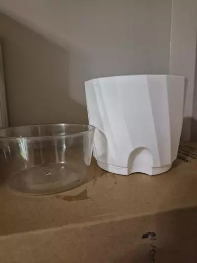 plant/Self-Watering 6" Pots, Set of Two-2-thumbnail