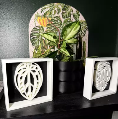 plant/Anthurium Shadowbox | 3d printed-4-thumbnail