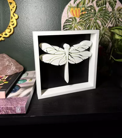 plant/Dragonfly Shadowbox | 3d printed-2-thumbnail