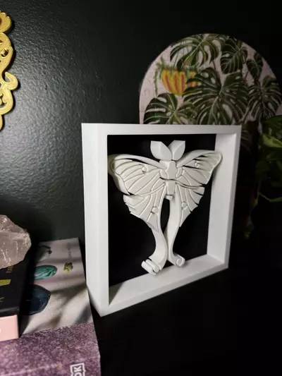 plant/Luna Moth Shadowbox | 3d printed-1-thumbnail