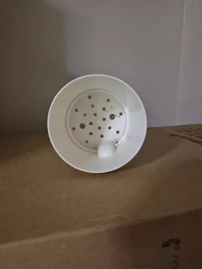 plant/Self-Watering 3" Pots, Set of Four-7-thumbnail