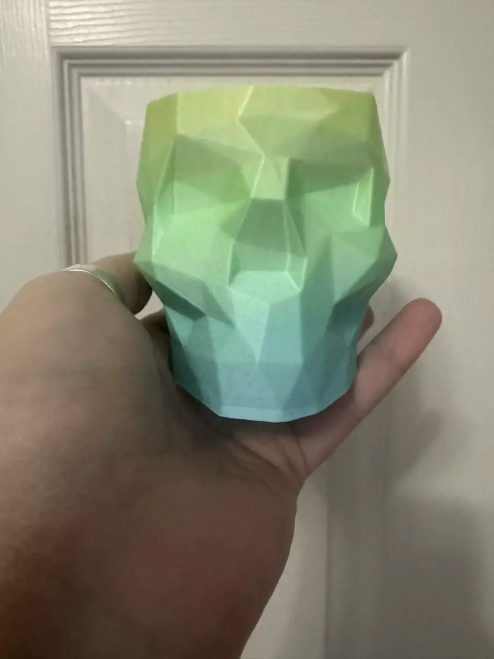 plant/2.5x3.5” low polly skull pot 2-0