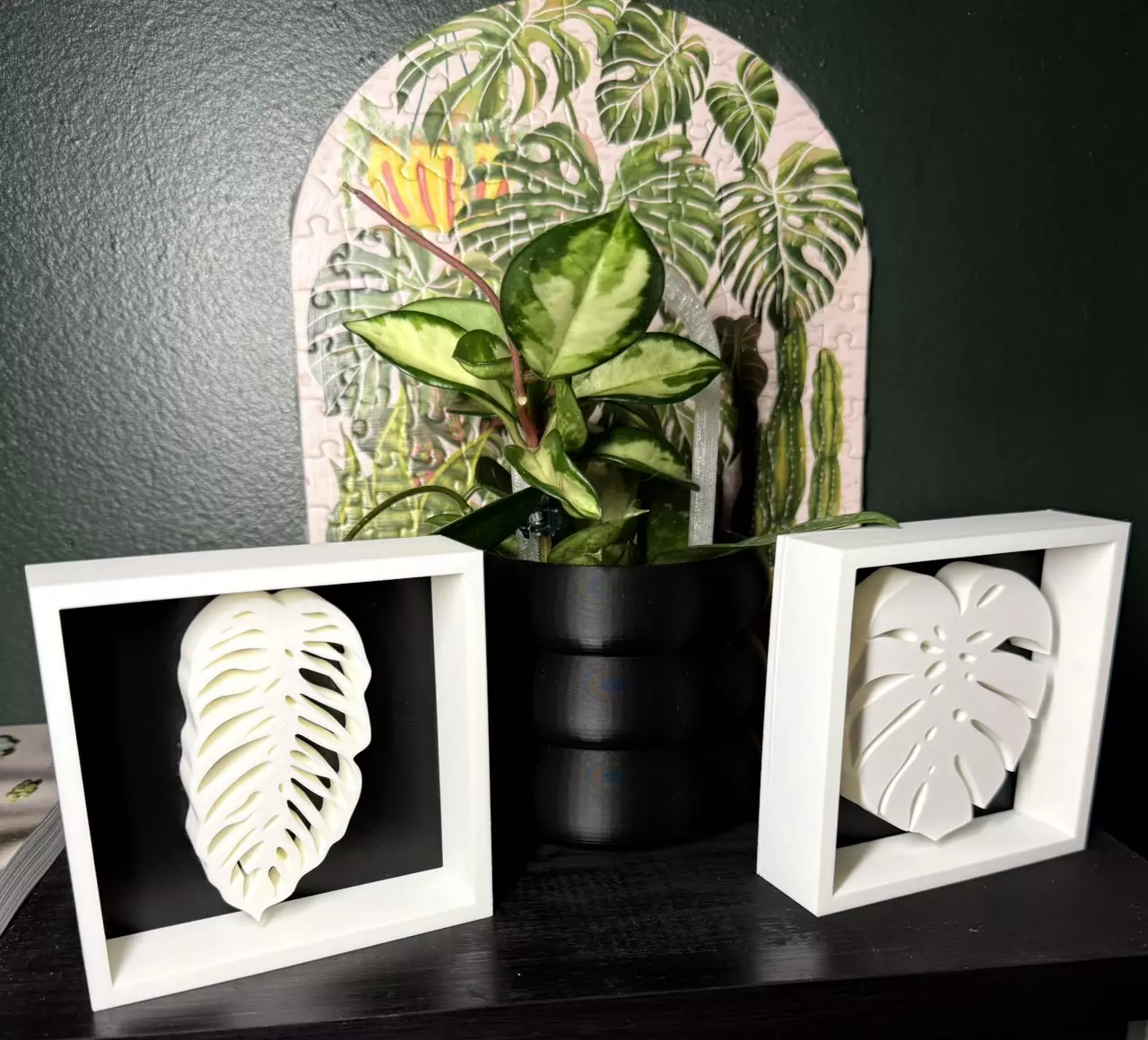 plant/Monstera Leaf Shadowbox | 3d printed-4